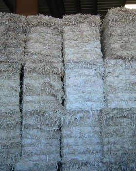 Sorted White Ledger